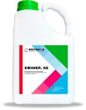 Ефімер