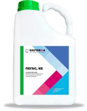Пегас