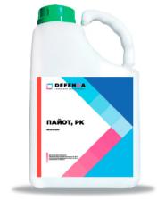 Пайот